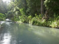 1.4KM'S OF PRISTINE CREEK FRONTAGE