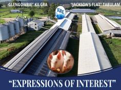 EXPRESSIONS OF INTEREST - &LDQUO;GLENGOWRIE&RDQUO; & &LDQUO;JACKSONS FLAT&RDQUO; PIGGERY AND LIVESTOCK PROPERTIES