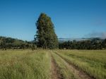 AFFORDABLE, EASY-BUILD 1.2 ACRE BLOCK