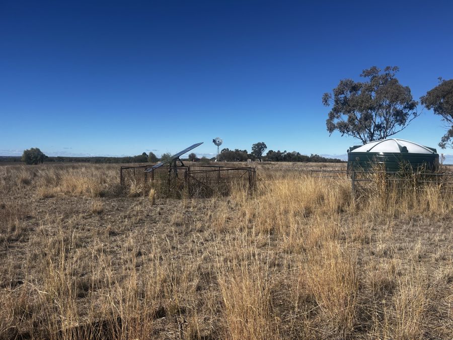 PRODUCTIVE HOBBY FARM ONLY 7 KM FROM WARIALDA OFF MAIN HIGHWAY
