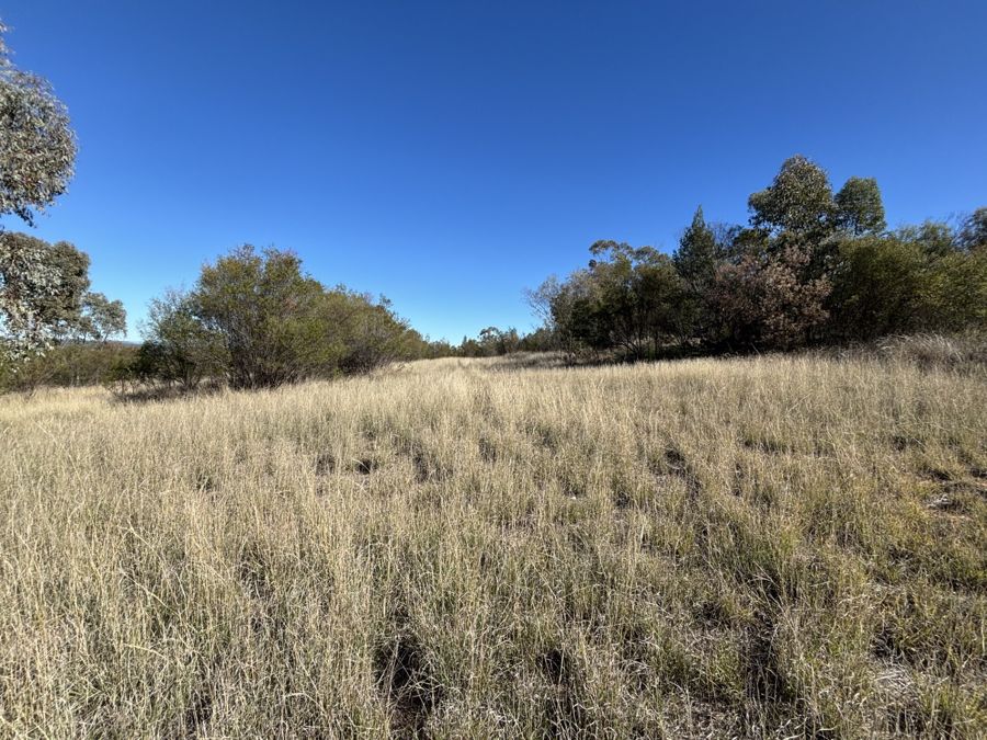 LIFESTYLE BLOCK WITH STUNNING RURAL VIEWS