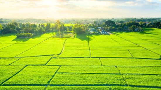 PREMIUM REGISTERED LAND IN OAKVILLE - BUILD YOUR DREAM HOME