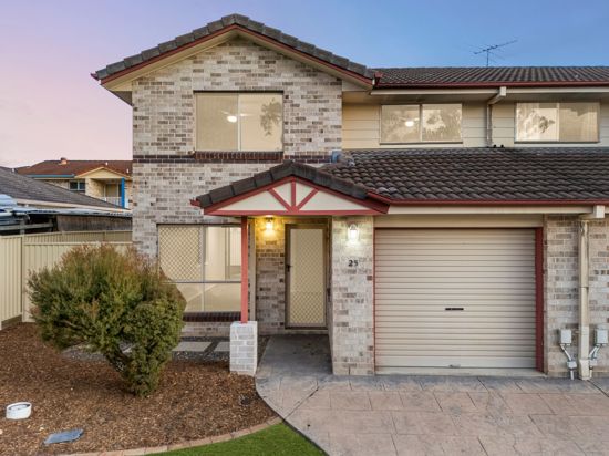 ENTER THE MARKET WITH SOLID BUILD