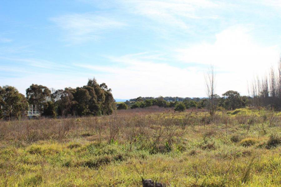 Property For Sale in Rouse Hill