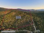 A RARE KOAH GEM &NDASH; 60 HA OF UNTOUCHED NATURAL BEAUTY