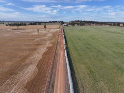 OUTSTANDING FARM IN TIGHTLY HELD LOCALITY