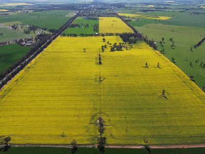 UNIQUE 227 ACRE OPPORTUNITY ON COOLAMON'S DOORSTEP
