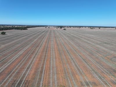 TIGHTLY HELD BOREE CREEK COUNTRY