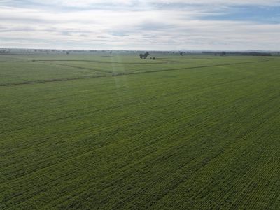 IDEAL COOLAMON PROPERTY