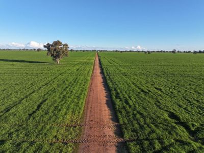 OUTSTANDING QUANDIALLA CROPPING PROPERTY
