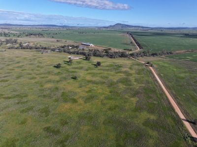 TAKE ADVANTAGE OF CURRENT LIVESTOCK PRICES