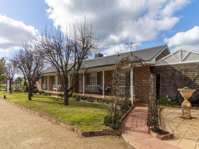SPACIOUS FAMILY LIVING ON A PRIME CORNER ALLOTMENT