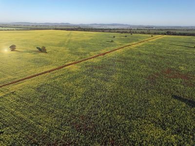 AFFORDABLE LAKE CARGELLIGO CROPPING PROPERTY