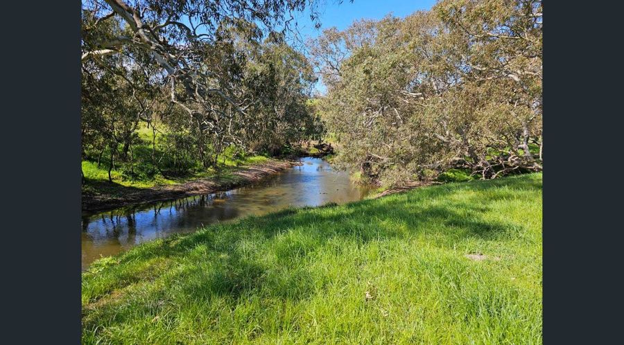 LIVESTOCK GRAZING/RIVER FRONTAGE