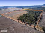 PRODUCTIVE 40.5 HA RURAL OPPORTUNITY &NDASH; LOT 14 ARMBRUSTER ROAD, JUNABEE
