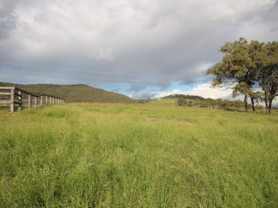 Property For Sale in Scone