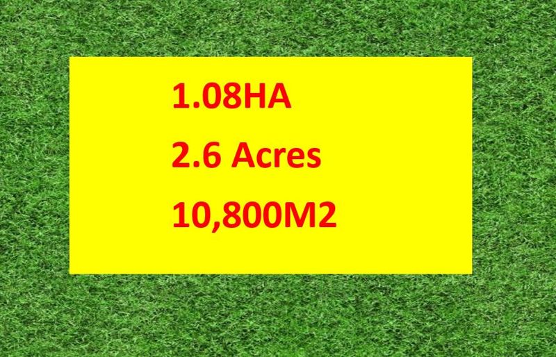 A RARE OPPORTUNITY TO BUILD A LUXURY HOME OR INVEST