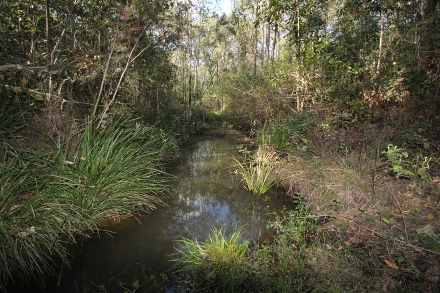 A BEAUTIFUL BUSH BLOCK