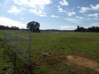 INDUSTRIAL SHED TO BE BUILT