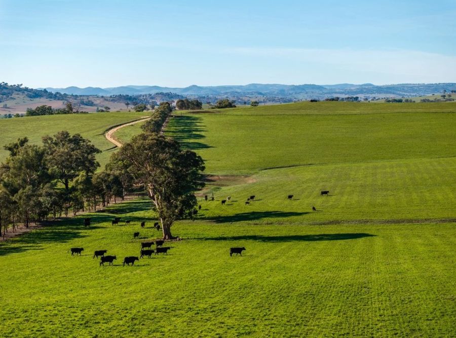 EXCELLENT MIXED FARMING IN BLUE CHIP REGION