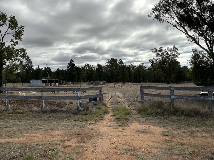 ACRES WITH IN TOWN LIMITS