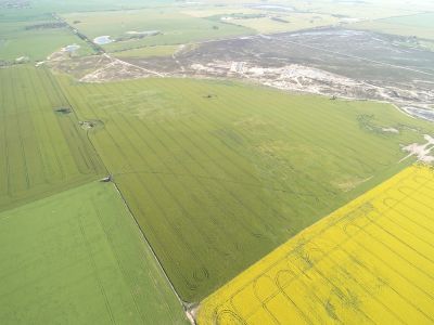 LAND AUCTION