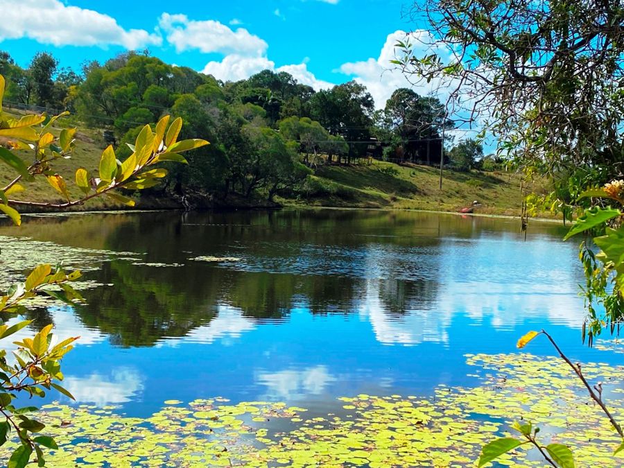 PRIZED MOUNT COTTON ADDRESS - 22 ACRES - BAY PANORAMA!