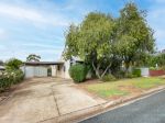 ENDLESS POTENTIAL ON A SPACIOUS 1003M2 APPROX. ALLOTMENT