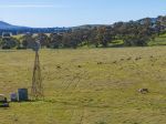 75 ACRES OF QUALITY GRAZING COUNTRY
