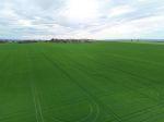 QUALITY MID NORTH CROPPING LAND