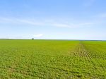 OPPORTUNITY IN TIGHTLY HELD CROPPING DISTRICT