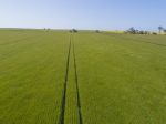 PRODUCTIVE PARCEL IN THE HEART OF THE YORKE PENINSULA