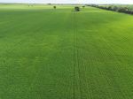 PRODUCTIVE ARABLE LAND