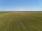 QUALITY CROPPING COUNTRY AVAILABLE FOR SALE & LEASE