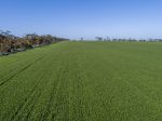 PRODUCTIVE CROPPING PROPERTY FOR LEASE