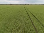 HIGHLY REGARDED CROPPING PROPERTY