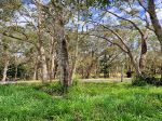 VACANT BLOCK OF LAND CLOSE TO TOWN