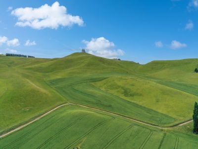 PRIME DAIRY SUPPORT LAND