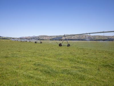 IRRIGATED DAIRY SUPPORT OR CONVERSION