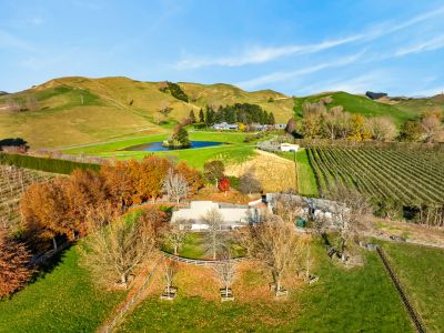 LIVE WELL, EARN WELL