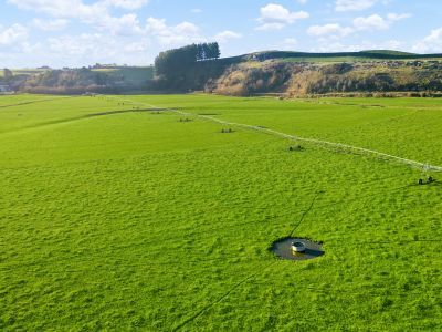 MAXIMISE DRY MATTER PRODUCTION