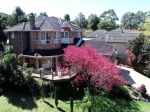 HUGE FAMILY HOUSE WITH CONVEINCE AND SERENITY LOCATION
