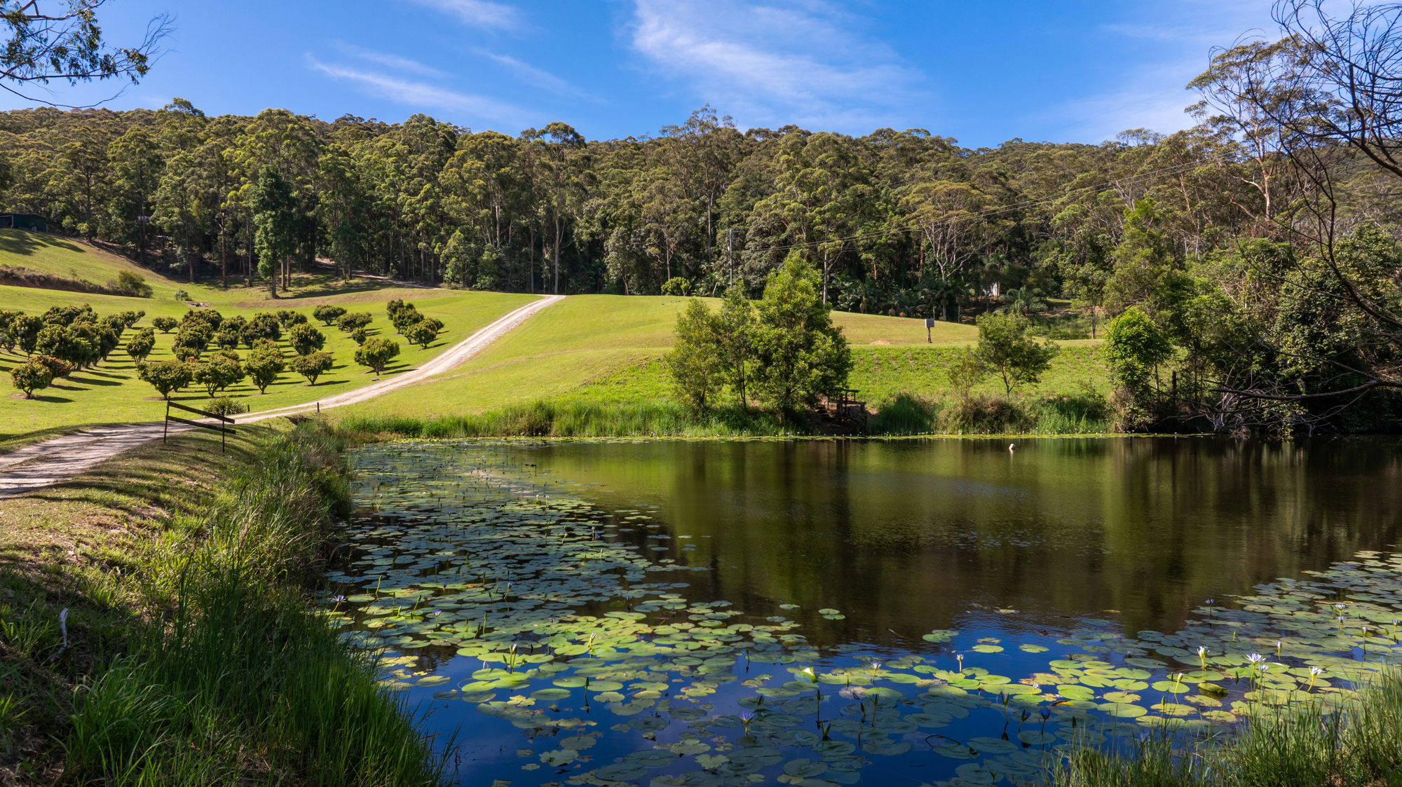 RARE COASTAL OASIS WITH UNLIMITED INCOME POTENTIAL!