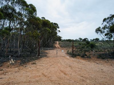 SCALE AND UNLIMITED POTENTIAL: 2 QUALITY ALLOTMENTS IN A STRATEGIC LOCATION. COMBINED 360 HA (APPROX.) OF PEACE AND NATURE.