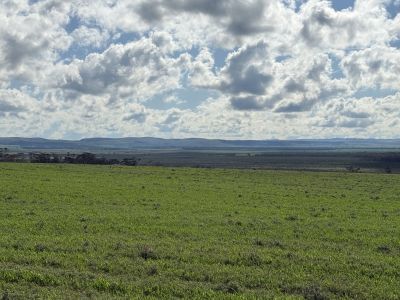 OFF-GRID SANCTUARY ON 151 HECTARES (373 AC) ACROSS 2 TITLES. PEACE, NATURE AND VIEWS.