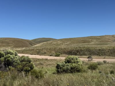 OFF-GRID SANCTUARY ON 12.5 HECTARES (31.3 AC APPROX.) ACROSS 2 TITLES. PEACE, NATURE AND VIEWS BACK TO THE HILLS AND OVER THE MARNE VALLEY.