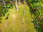 ENCHANTING LAND CLOSE TO EVERYTHING