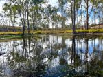 AFFORDABLE LIFESTYLE GETAWAY BLOCK &NDASH; SOUTH BURNETT