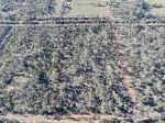 PEACEFUL RURAL ESCAPE &NDASH; 19.77 ACRES NEAR NUDLEY STATE FOREST