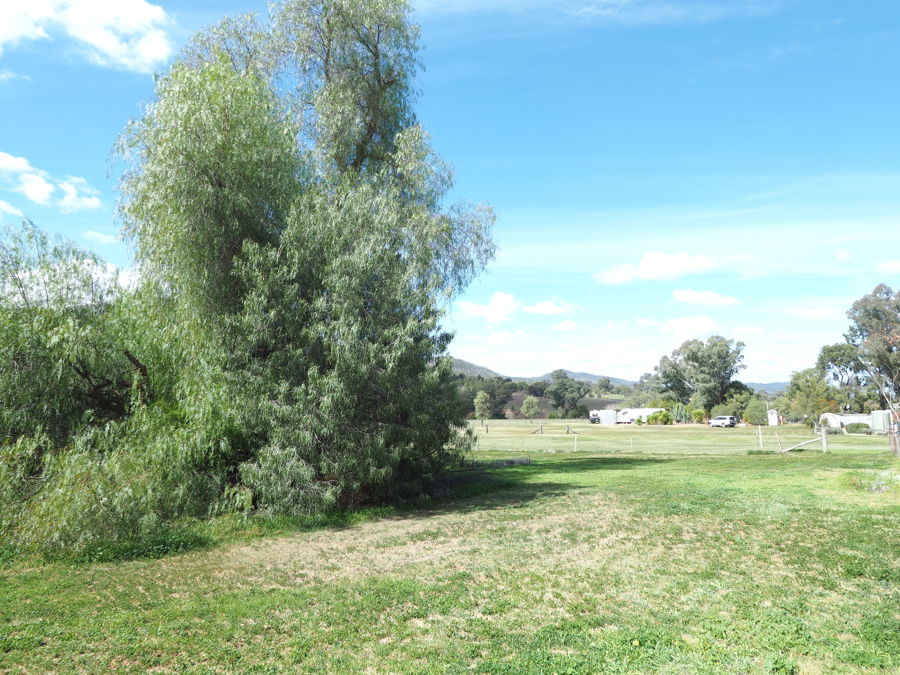 ACREAGE WITHIN THE TOWN BOUNDARY